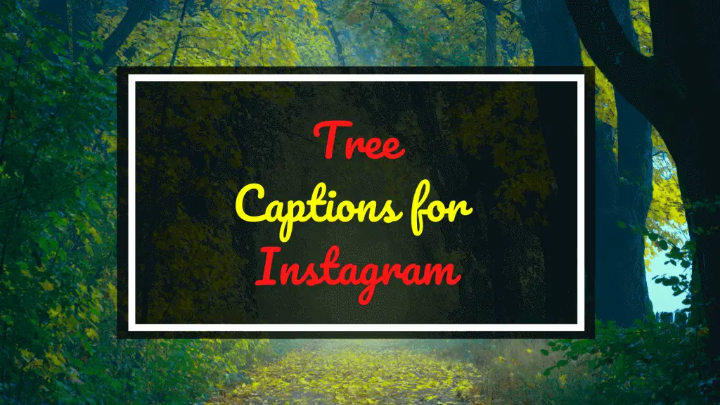 Tree Captions