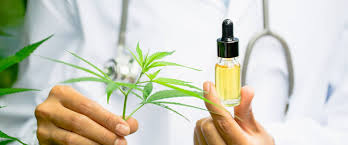 How CBD Can Enhance Your Wellness Routine